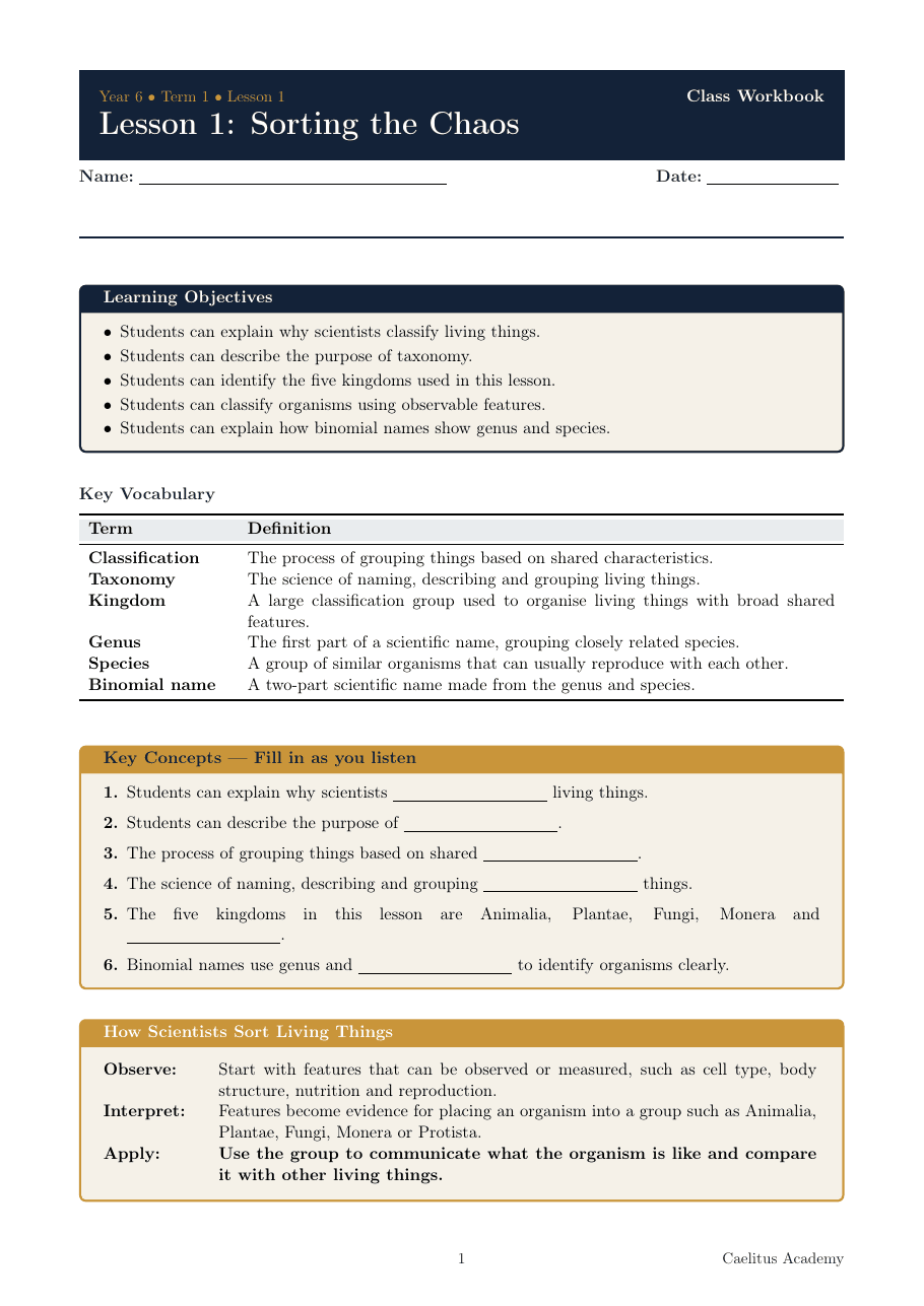 Caelitus Year 6 Science workbook page — Sorting the Chaos